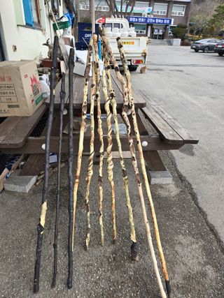 김대기님의 자유주제 · 자유게시판 작성글 사진