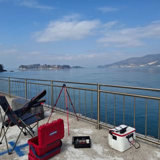 오영도님의 자유주제 · 자유게시판 작성글 사진