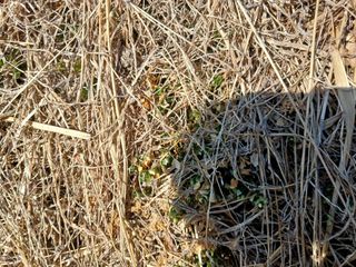 알 수 없음님의 자유주제 · 자유게시판 작성글 사진