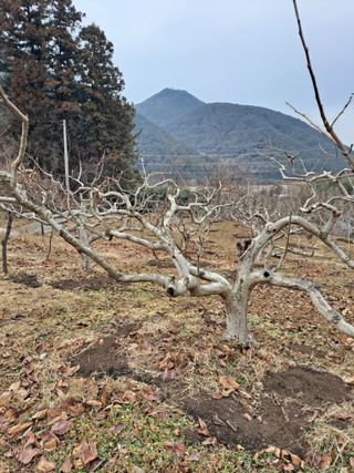 농촌사랑님의 자유주제 · 자유게시판 작성글 사진