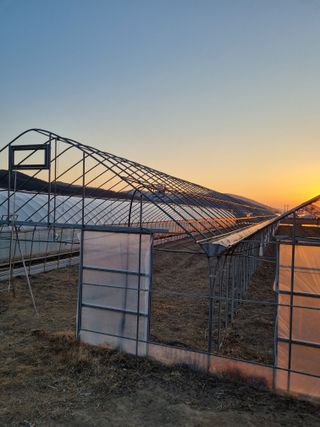 머슴님의 자유주제 · 자유게시판 작성글 사진