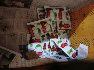 알 수 없음님의 자유주제 · 자유게시판 작성글 사진