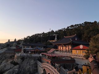 마평 농원님의 자유주제 · 자유게시판 작성글 사진