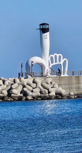 마평 농원님의 자유주제 · 자유게시판 작성글 사진