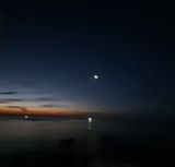 팜모닝 자유주제·자유게시판 게시글 이미지