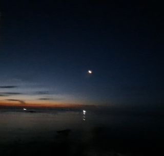 마평 농원님의 자유주제 · 자유게시판 작성글 사진