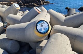 마평 농원님의 자유주제 · 자유게시판 작성글 사진