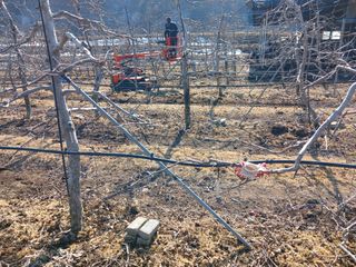 알 수 없음님의 자유주제 · 자유게시판 작성글 사진