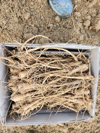 약도라지6018님의 작성글 사진