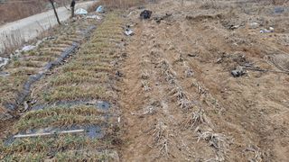 MSG0074님의 자유주제 · 자유게시판 작성글 사진