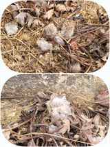 팜모닝 자유주제·자유게시판 게시글 이미지