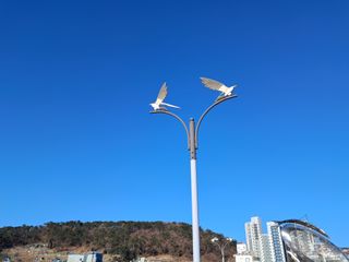 마평 농원님의 자유주제 · 자유게시판 작성글 사진