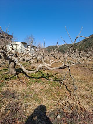 농촌사랑님의 자유주제 · 자유게시판 작성글 사진