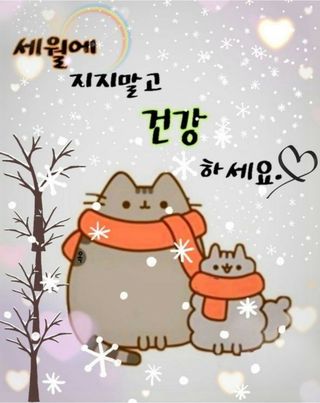 보은 김영순님의 자유주제 · 자유게시판 작성글 사진