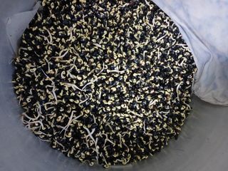 자두6478님의 작성글 사진