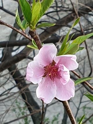 김상진님의 자유주제 · 자유게시판 작성글 사진
