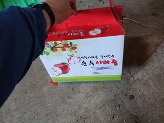 알 수 없음님의 자유주제 · 자유게시판 작성글 사진