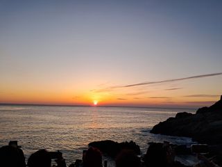 마평 농원님의 자유주제 · 자유게시판 작성글 사진