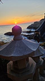 팜모닝 자유주제·자유게시판 게시글 이미지