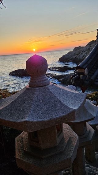 마평 농원님의 자유주제 · 자유게시판 작성글 사진