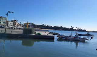 마평 농원님의 자유주제 · 자유게시판 작성글 사진