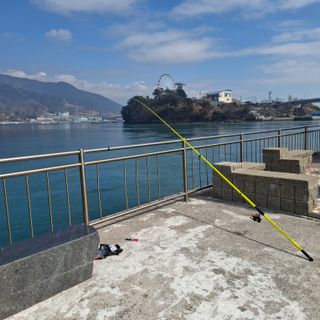 오영도님의 자유주제 · 자유게시판 작성글 사진