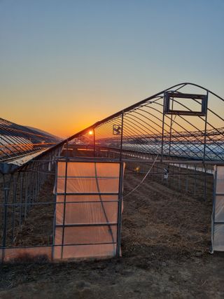 머슴님의 자유주제 · 자유게시판 작성글 사진