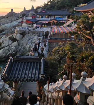 마평 농원님의 자유주제 · 자유게시판 작성글 사진