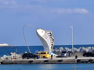 마평 농원님의 자유주제 · 자유게시판 작성글 사진