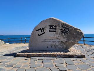 마평 농원님의 자유주제 · 자유게시판 작성글 사진