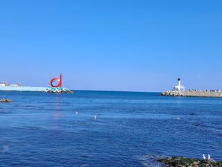 마평 농원님의 자유주제 · 자유게시판 작성글 사진