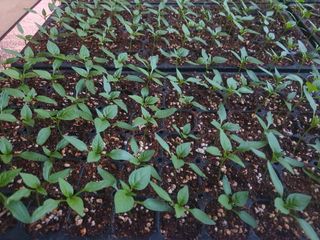 블루베리14534님의 자유주제 · 자유게시판 작성글 사진