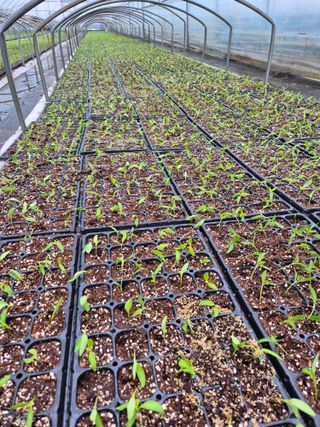 김영진(전남영광)님의 자유주제 · 자유게시판 작성글 사진