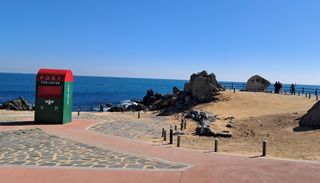 마평 농원님의 자유주제 · 자유게시판 작성글 사진