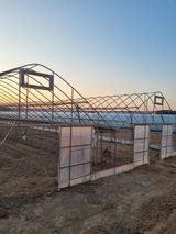 팜모닝 자유주제·자유게시판 게시글 이미지