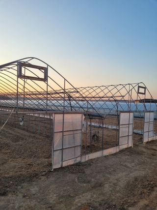 머슴님의 자유주제 · 자유게시판 작성글 사진