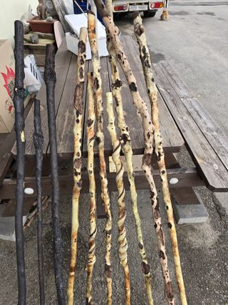 김대기님의 자유주제 · 자유게시판 작성글 사진