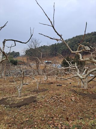 농촌사랑님의 자유주제 · 자유게시판 작성글 사진