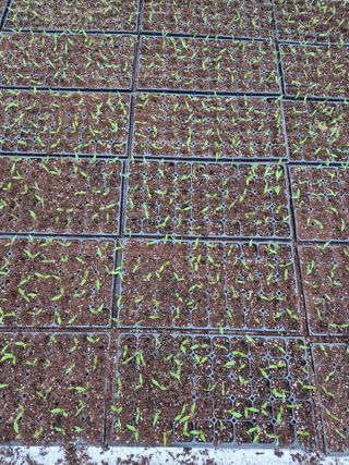 김영진(전남영광)님의 자유주제 · 자유게시판 작성글 사진