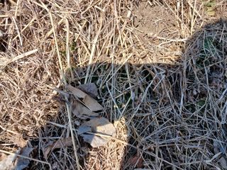 알 수 없음님의 자유주제 · 자유게시판 작성글 사진