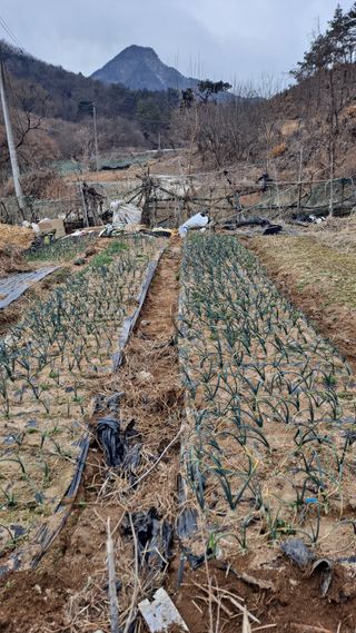 MSG0074님의 자유주제 · 자유게시판 작성글 사진