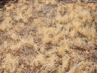 이창신님의 자유주제 · 자유게시판 작성글 사진