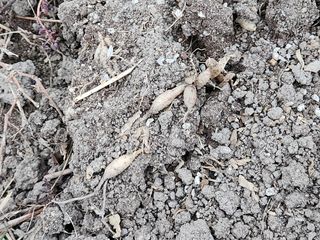 이창신님의 자유주제 · 자유게시판 작성글 사진