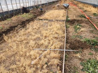 이창신님의 자유주제 · 자유게시판 작성글 사진