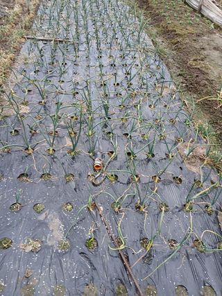 김화연님의 자유주제 · 자유게시판 작성글 사진