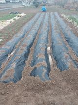 팜모닝 자유주제·자유게시판 게시글 이미지