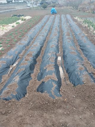 김한님의 자유주제 · 자유게시판 작성글 사진