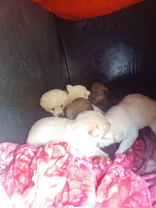 정성국님의 자유주제 · 자유게시판 작성글 사진