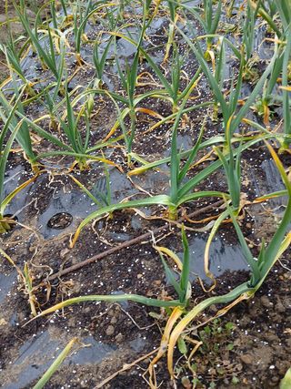 김화연님의 자유주제 · 자유게시판 작성글 사진