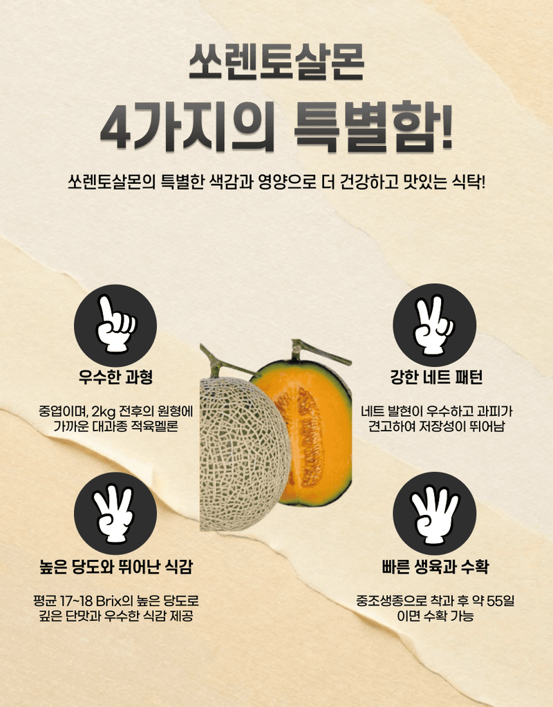 농업마켓365님의 장터 판매 상품 [농업마켓365 아시아종묘 멜론 쏘렌토살몬 10립 종자 씨앗 텃밭 주말농장 메론 멜론] 첨부 사진